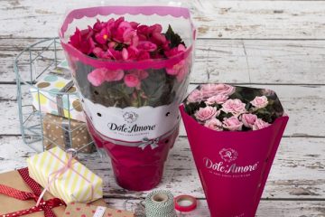 dolcamore-gift