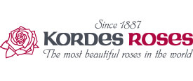 Kordes_Roses