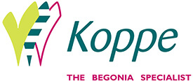 Koppe-the-begonia-specialist